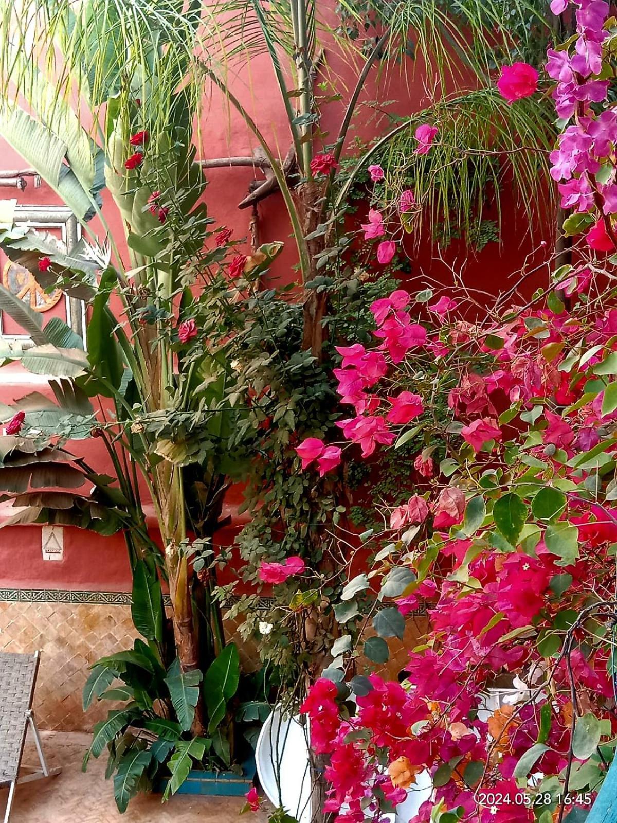 Maison Des Maitres Marrakesch Exterior foto